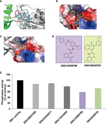Identification of Novel Inhibitors of a Plant Group A Protein Phosphatase Type 2C Using a Combined In Silico and Biochemical Approach